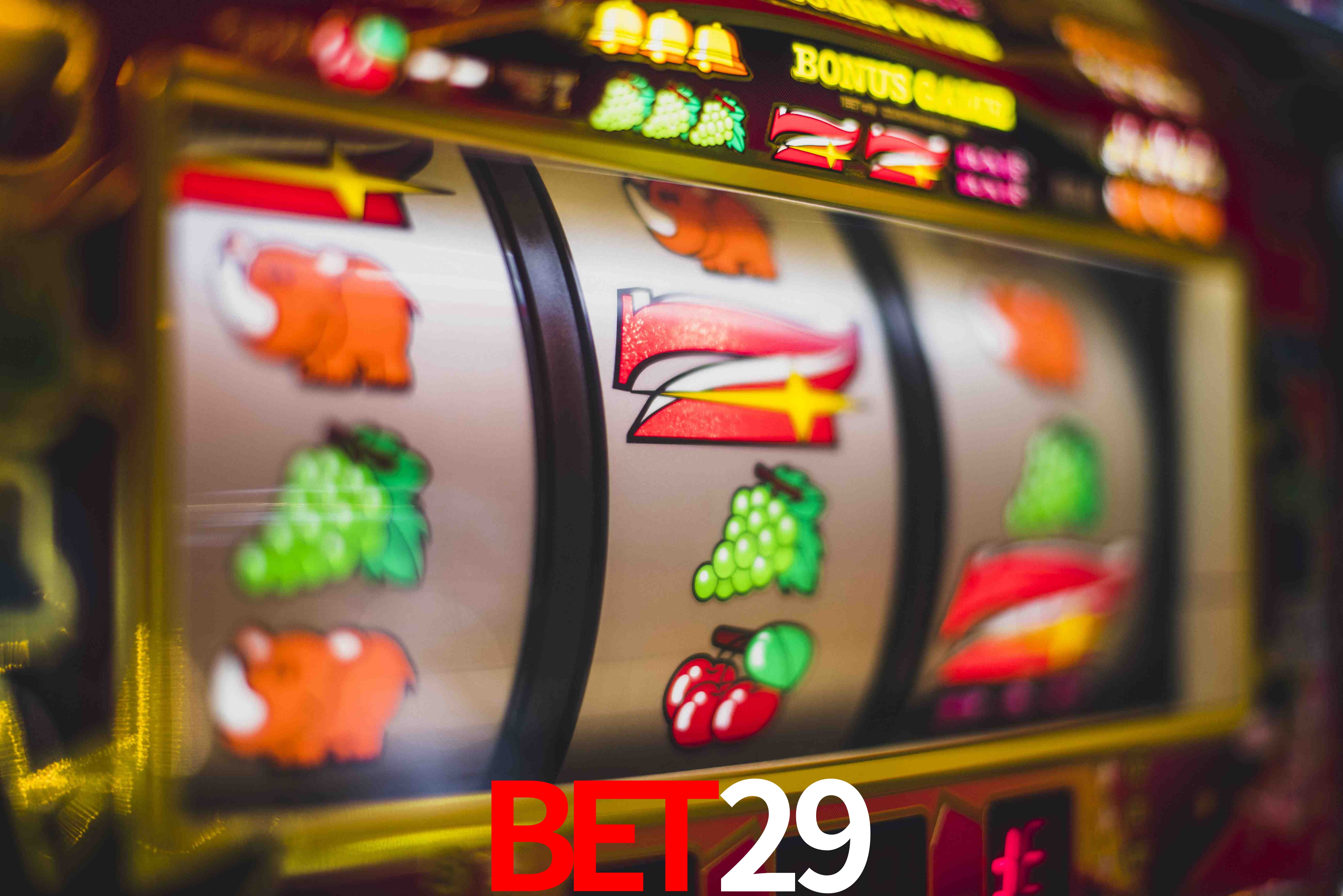Statistics bet29
